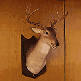 Der singende und sprechende  Hirsch