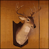 Der singende und sprechende  Hirsch
